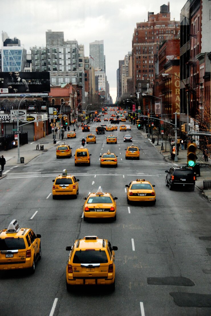 Wildlife Safari Taxi Packages in Kerala