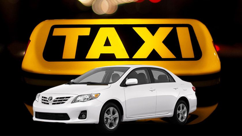 Wildlife Safari Taxi Services in Kerala