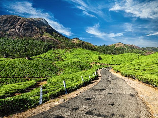 Neelakurinji Munnar Sightseeing: How to Plan a One-Day Taxi Trip